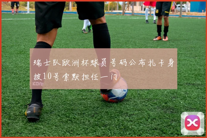 瑞士队欧洲杯球员号码公布扎卡身披10号索默担任一门