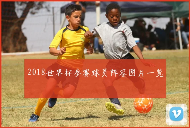 2018世界杯参赛球员阵容图片一览