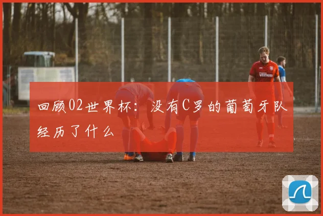 回顾02世界杯:没有C罗的葡萄牙队经历了什么