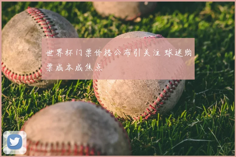 世界杯门票价格公布引关注 球迷购票成本成焦点